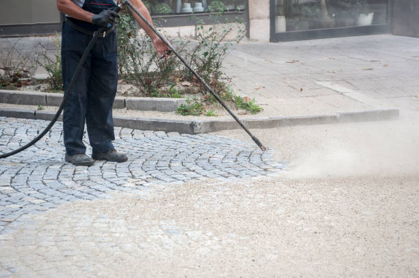 Best Driveway Cleaning and Restoration in Sigourney, IA